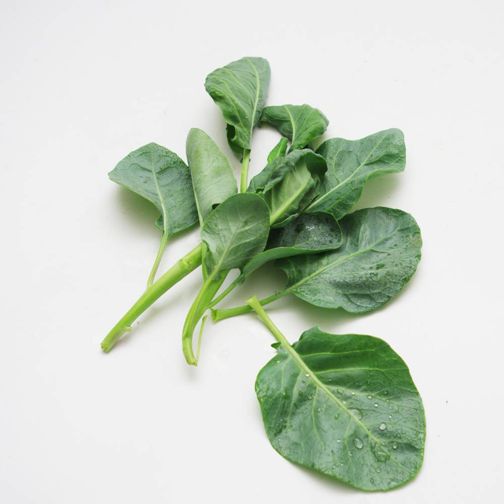 蔬菜名稱:【燎原特惠】新鮮芥藍(lán)綠色種植綠色無公害蔬菜新鮮青菜順豐